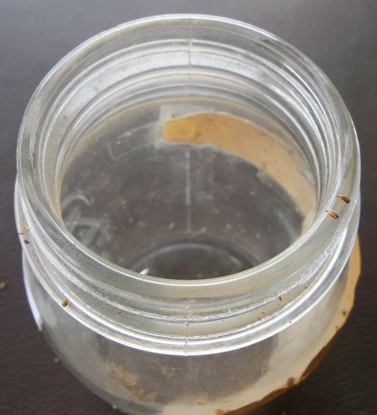 Ball Perfect Mason Jar, Used for Selling Carrots, with Paper Labels